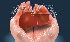 ������ ר������Զ��